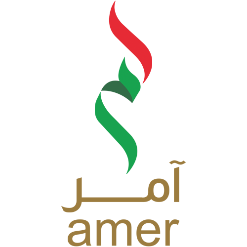 AMER SERVICES